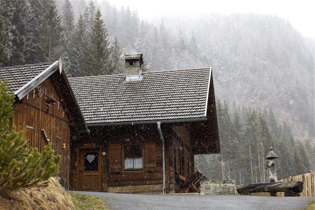 Siegel Almhuette Villa Zederhaus Luaran gambar