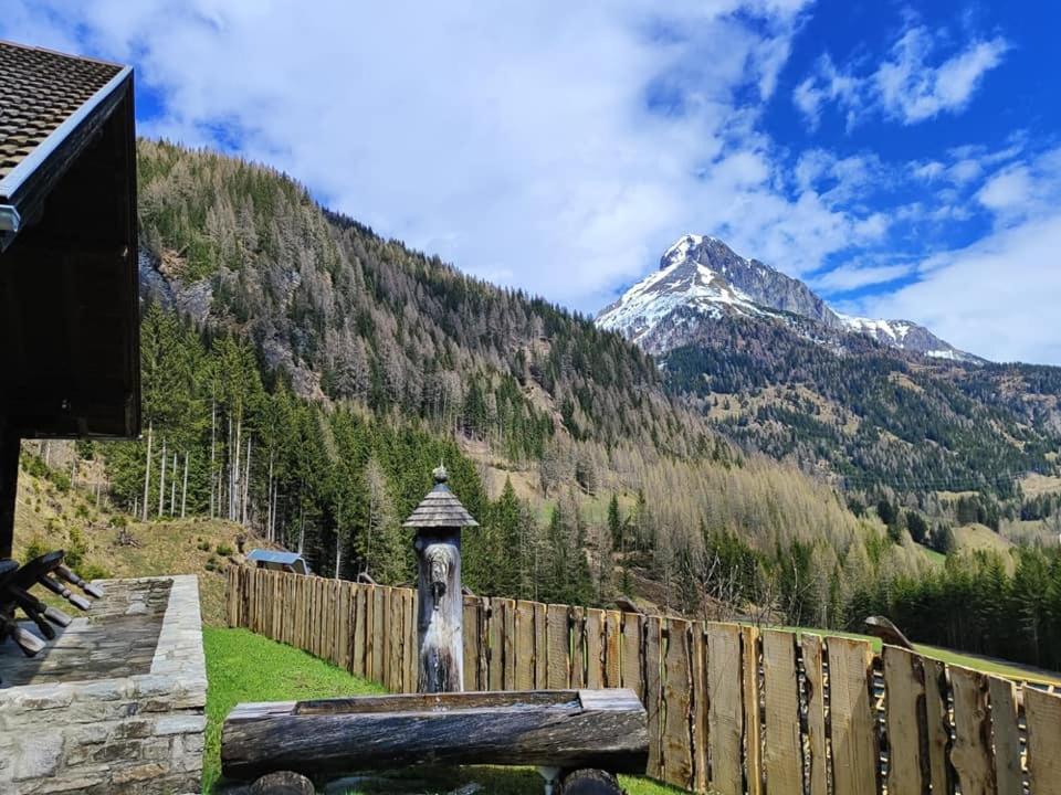 Siegel Almhuette Villa Zederhaus Luaran gambar